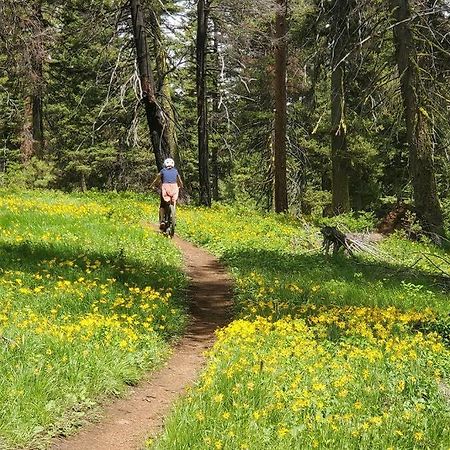 Mccall Mountain Getaway - Pet Friendly Dış mekan fotoğraf