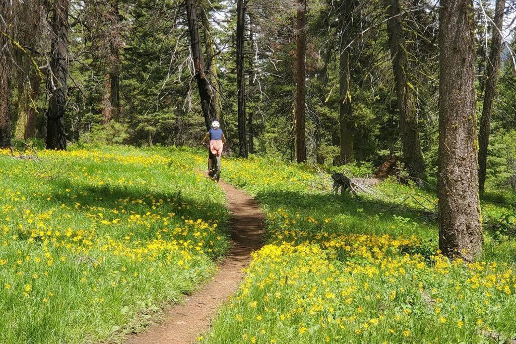Mccall Mountain Getaway - Pet Friendly Dış mekan fotoğraf